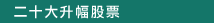 二十大升幅